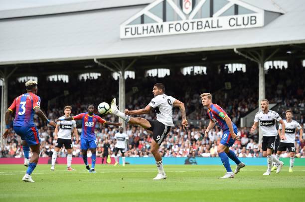 洲赛场上留 洲赛场上留