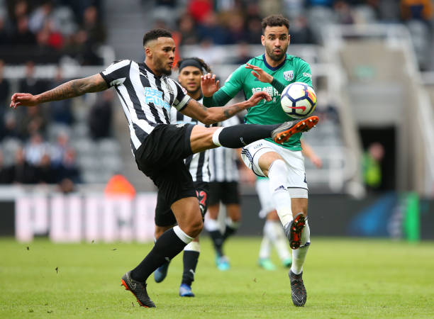 并与其合影 并与其合影